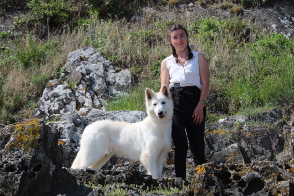 Princess plum white diamond De La Griffe Des Loups D'argent